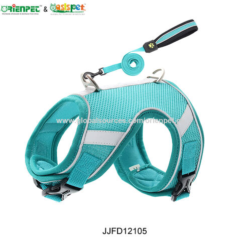 ORIENPET &amp; OASISPET Haustier-Halsband-Haustier-Leine-Leine JJFD13449 Haustier-Produkte