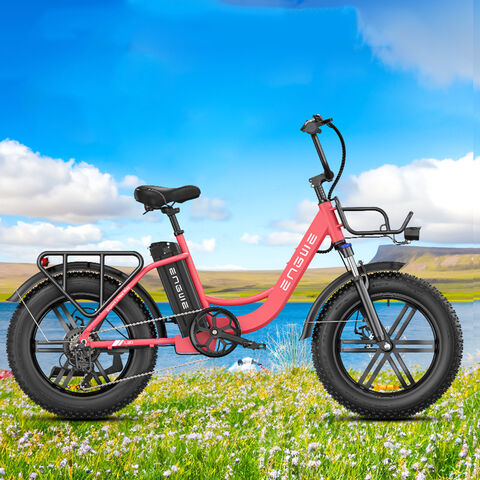 Bicicleta eléctrica para adultos, bicicleta eléctrica de 20 pulgadas x 4.0  con motor de 750 W, bicicleta eléctrica plegable de 48 V/15 Ah, bicicleta