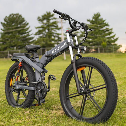 Compre Bicicleta Eléctrica Para Adultos Con Motor Sin Escobillas