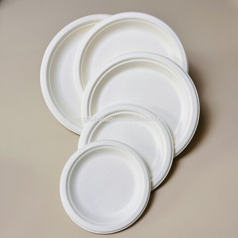 I00000 Heavy Duty 100% Compostable 10 Inch Paper Plates, 100 Pack  Disposable Plates Bagasse Plates Biodegradable Eco-Friendly Natural White  Sugarcane