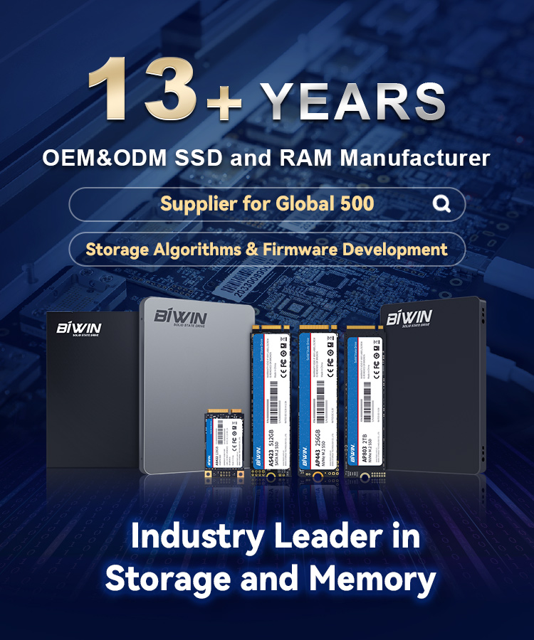 要コメント☆Biwin M.2 SSD 2TB NVMe PCIe Gen4.0 Amazon.com: BIWIN