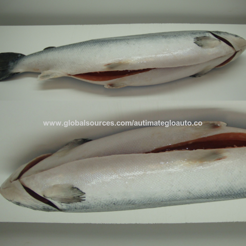 Buy Wholesale South Africa Fresh Norwegian Salmon Fish For Sale & Salmon at  USD 6