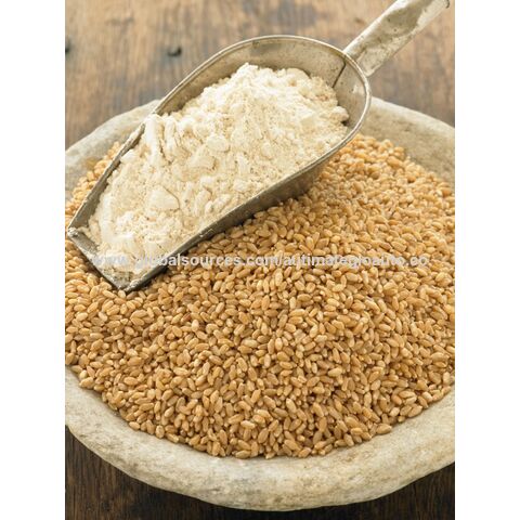Grano de trigo blanco duro verificado sin OMG | 100% sin irradiar | Kosher  Parve | Cosechado en EUA| Con rastreo de campo