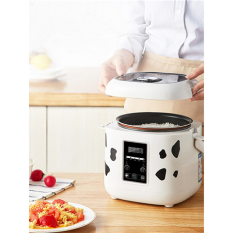 Mini Rice Cooker Automatic Household Kitchen Electric Cooking