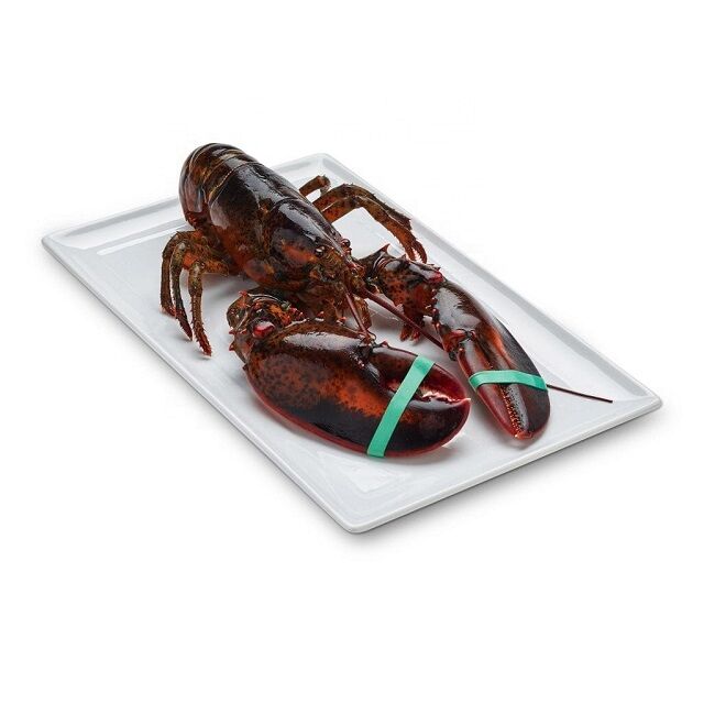 Buy Wholesale United Kingdom Best Price Frozen Lobster Tails Fresh