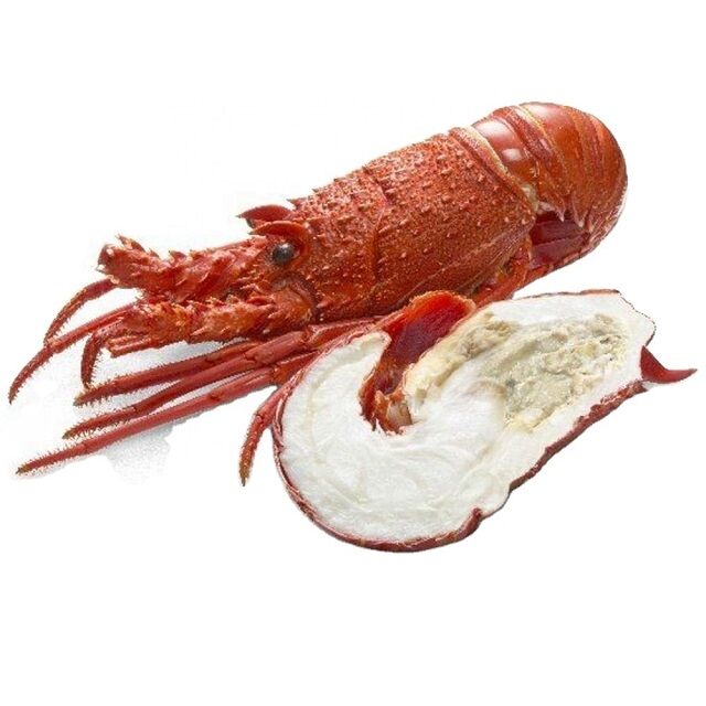 Buy Wholesale United Kingdom Best Price Frozen Lobster Tails / Fresh ...