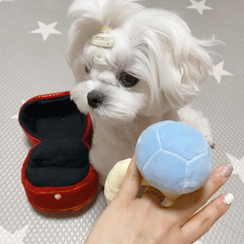 Fleece Dog Sniffing Toys Puzzle Dog Training Toy Cute Bread Toast Shape Pet  Product for Small