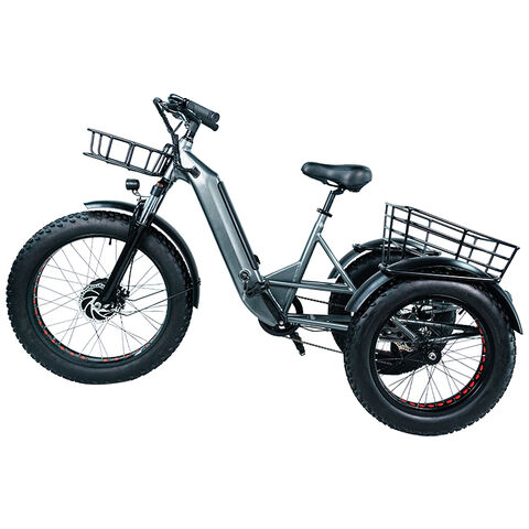 Electric bike best sale 3 wheels price