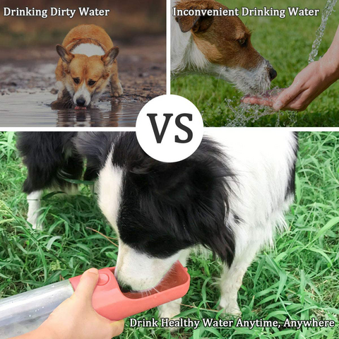 Tasses à boire pour bouteille d'eau extérieure pour chien léger  multifonction Accessoires pour animaux - Chine Bouteille d'eau extérieure  pour chien multifonction et bouteille d'eau pour chien tasses pour animaux Accessoires  pour