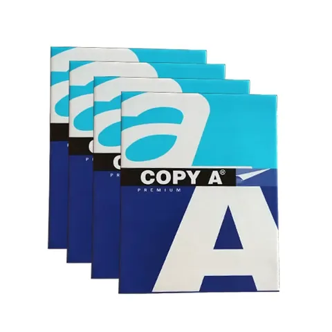 Buy Wholesale China Copy Paper A4/cheap A4 Paper 70 80 Gsm & A4 Paper at  USD 0.25