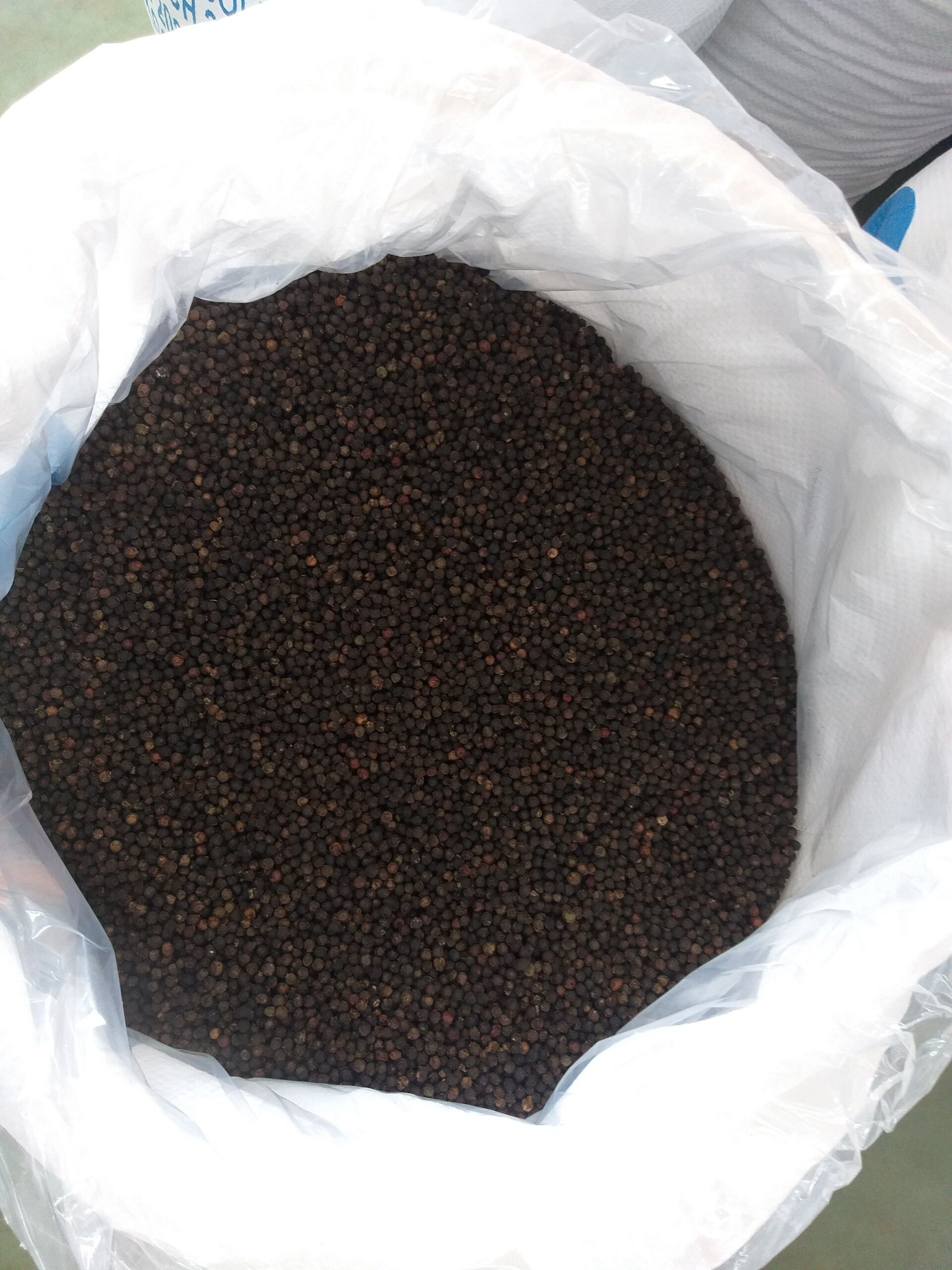 Buy Wholesale Thailand Black Pepper High Quality Ceylon Black Pepper