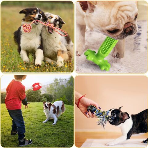 Factory Hot Pet Summer Ice Frozen Dog Chew Cooling Toys Toy - China Pet  Toy, Dog Toy