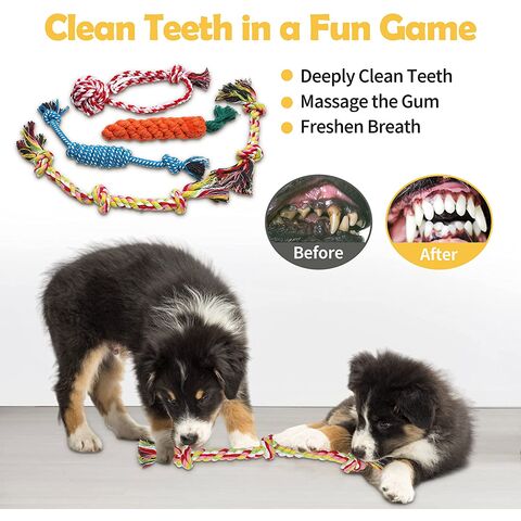 https://p.globalsources.com/IMAGES/PDT/B5886664045/Pet-chewing-toys.jpg