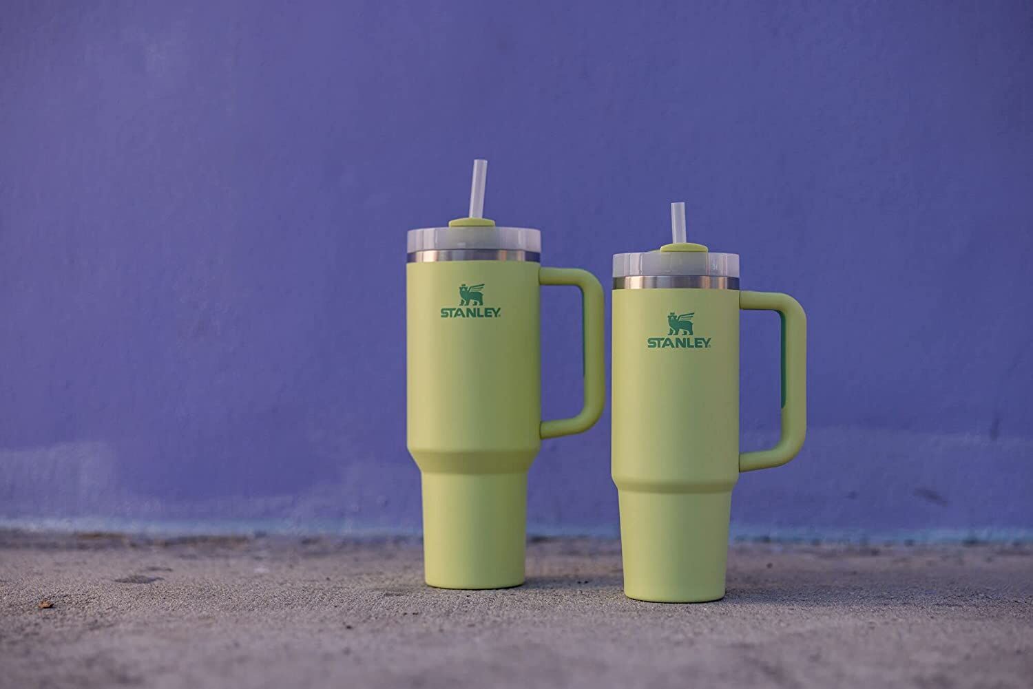 Stanley Adventure Quencher Travel Tumbler Mug Stanley 40oz Tumbler With