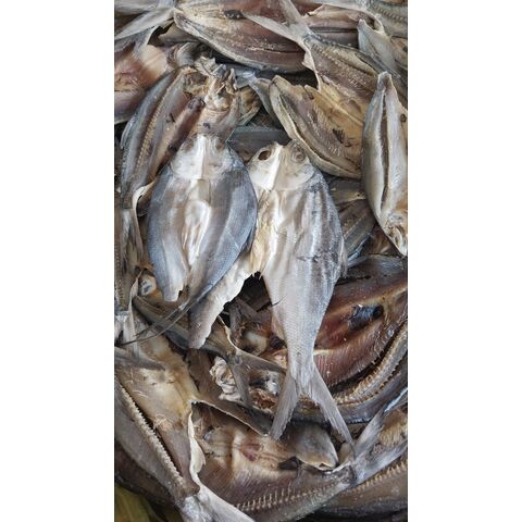 African Food Products Stockfish Tusk