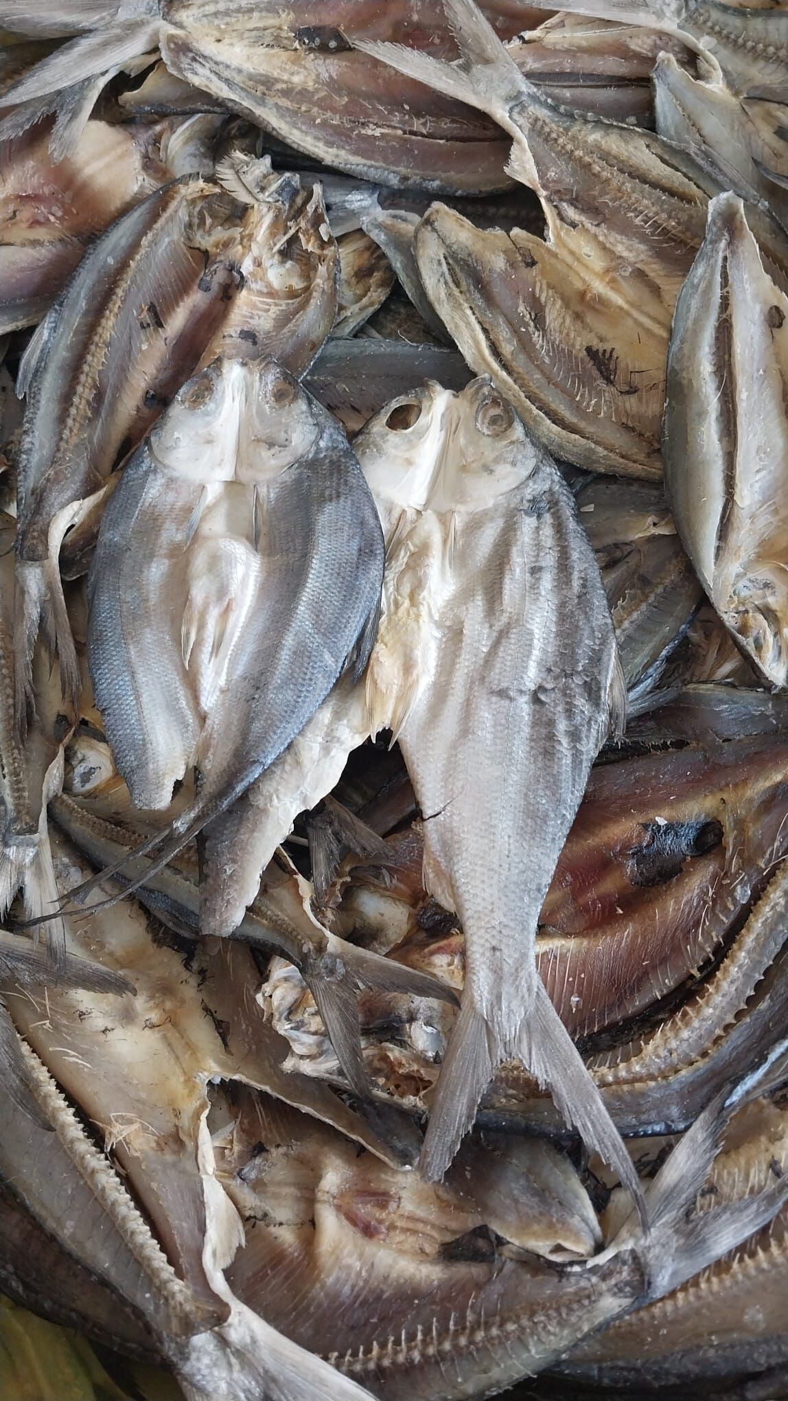 Stockfish of Ling in 45 kg bales.