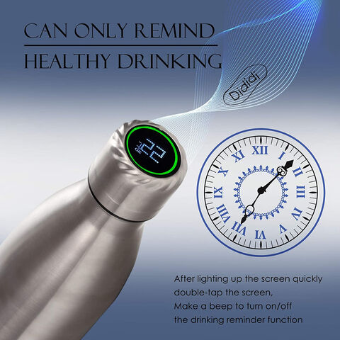 Bulk Custom Private Label UV Sterilization Reminder Smart Water Bottle