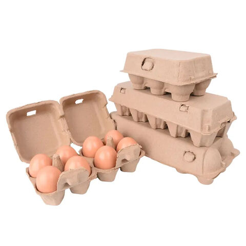 Paper Pulp Egg Tray at Best Price in Sonipat
