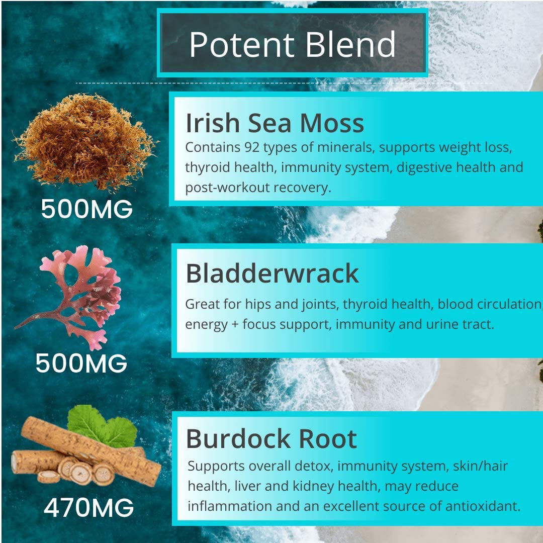 Musgo marino vegano orgánico con fucus (60 unidades)