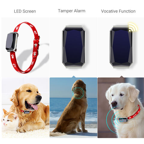 Comprar Mini localizador GPS para mascotas, rastreador impermeable