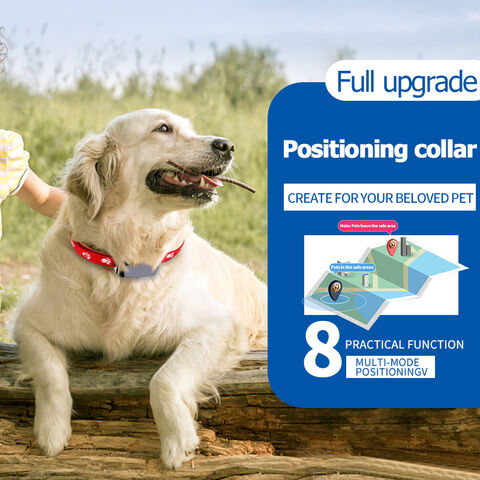 Tractive GPS Pet Tracker for Dogs - Waterproof GPS Location