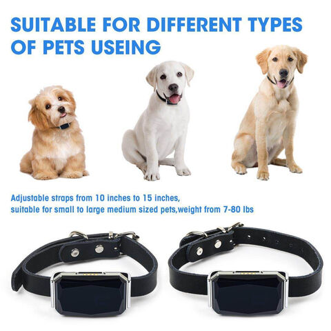 Rastreador GPS para mascotas, seguimiento GPS para perros y buscador de  mascotas, accesorio GPS para collar de perro, localizador impermeable