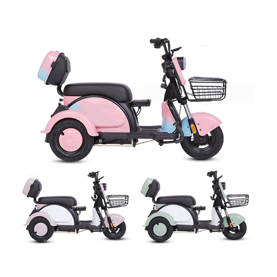 Achetez en gros Tricycles électriques Cargo Trois Enfants Roue 3 Moto