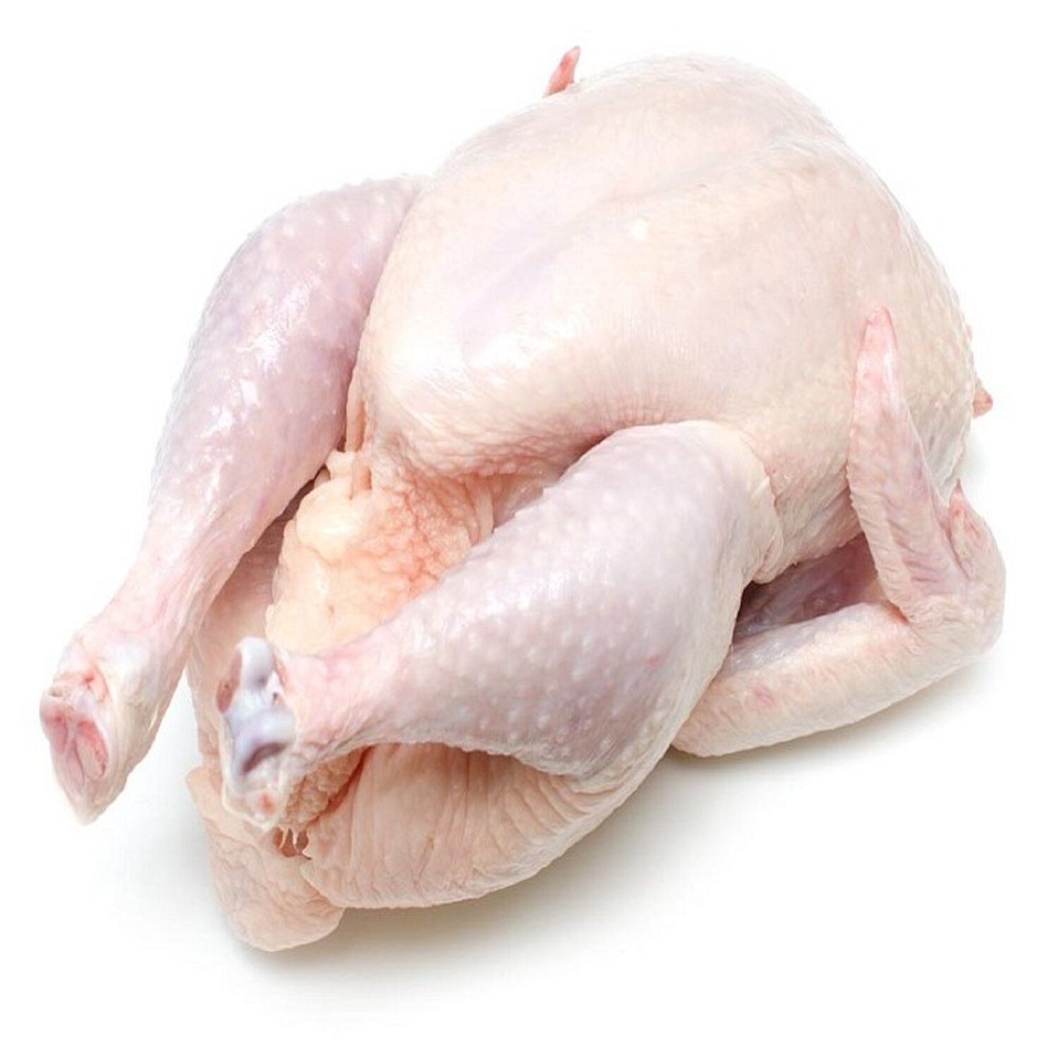 Buy Wholesale Netherlands High Quality Frozen Whole Chicken, Chicken