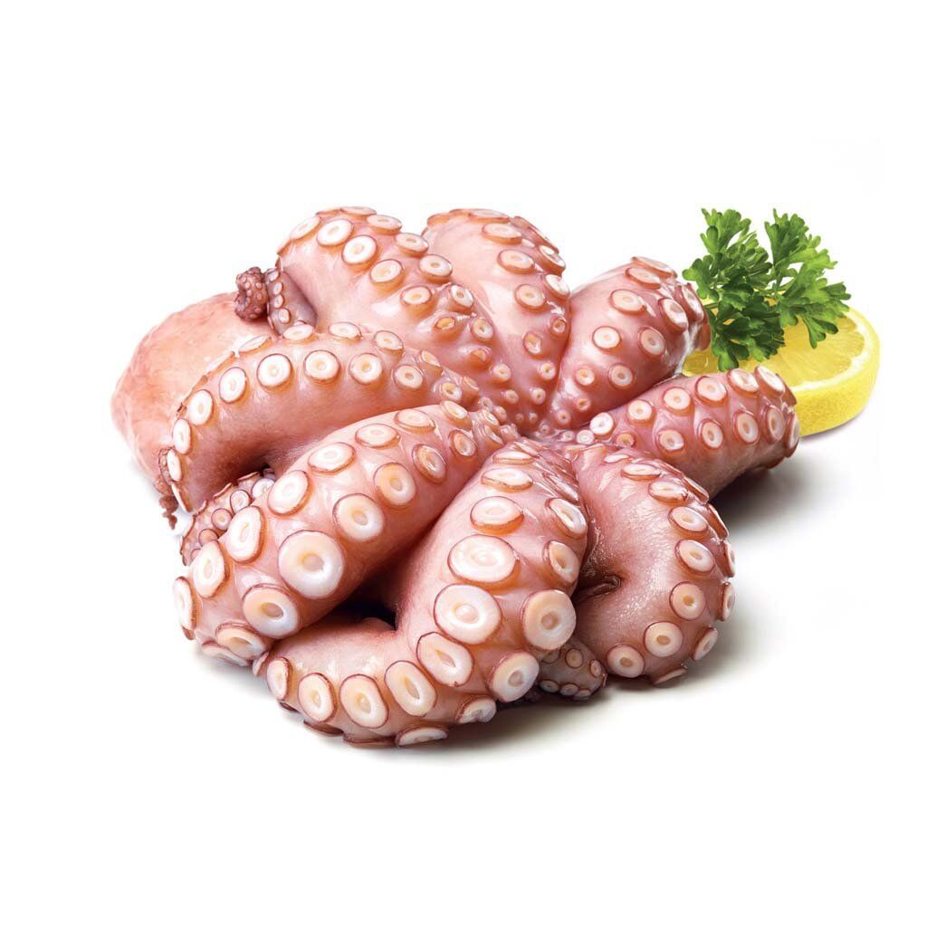 Buy Wholesale United Kingdom Premium Quality Frozen Octopus Cheap Price