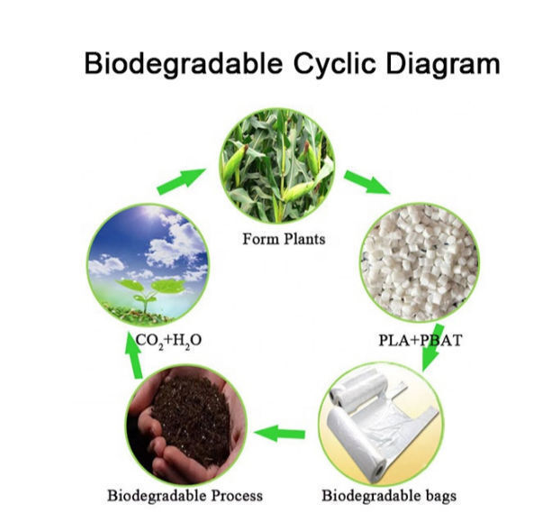 Buy Wholesale China Pla Material Can Be Composted Biodegradable Custom
