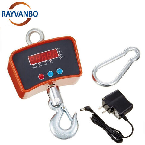 Digital Weighing Crane Scales for Sale
