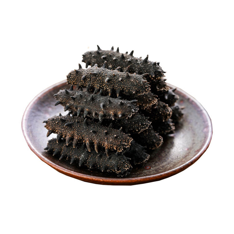 Buy Wholesale Kenya Premium Quality Frozen Sea Cucumber / Dried Sea
