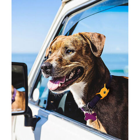 Collar De Pata De Perro Con Hebilla De Seguridad Para Mascotas Accesorios  Para Perros Y Gatos