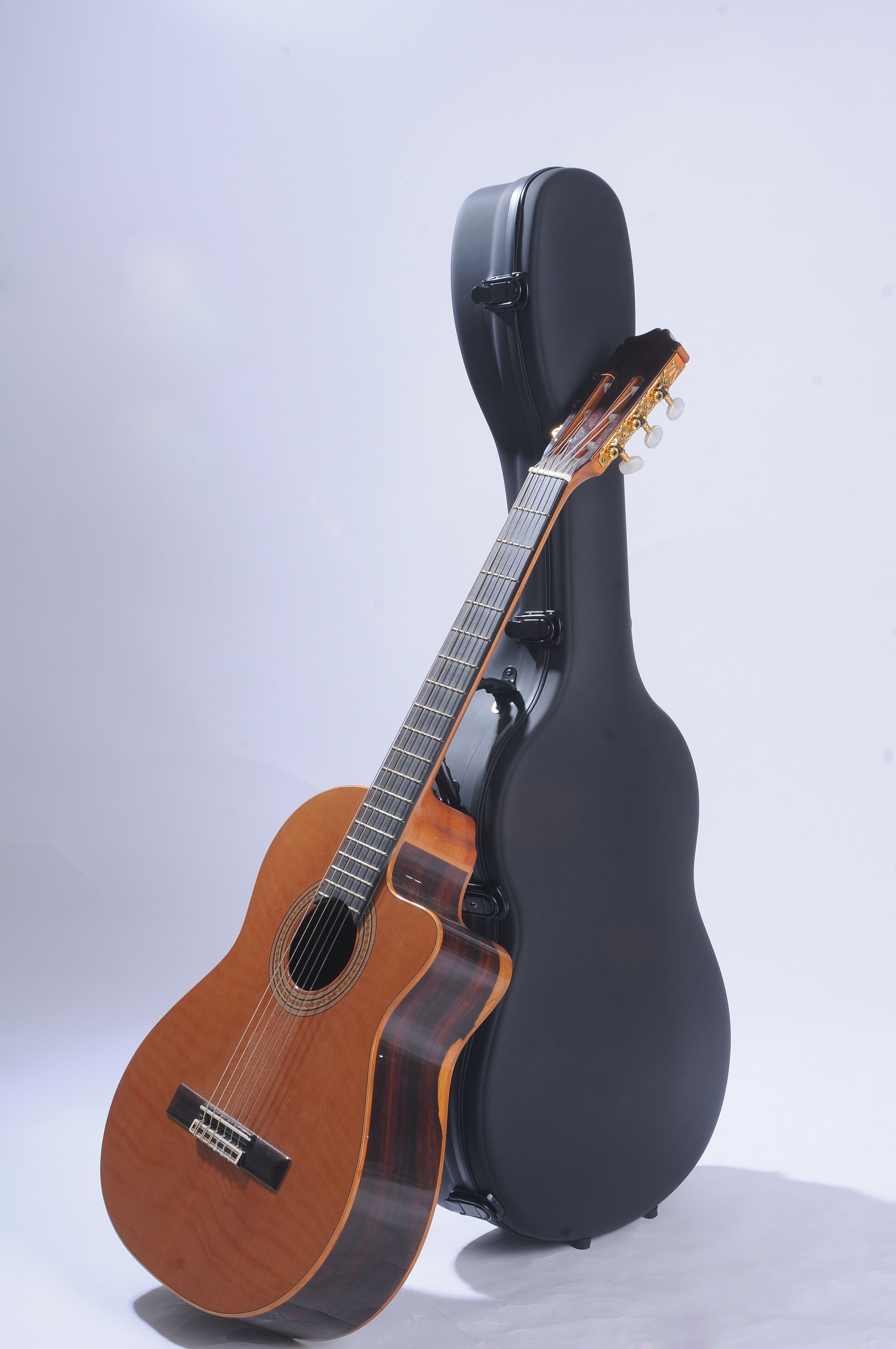 Buy Wholesale China Wholesale Manufacturers Factory Custom Abs Guitars