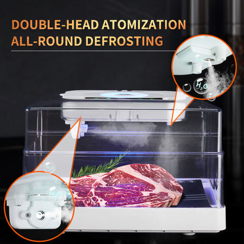 Fast Defrosting Tray Thaw Frozen Food Meat - Kitchen Gadget Tool - Top  Kitchen Gadget