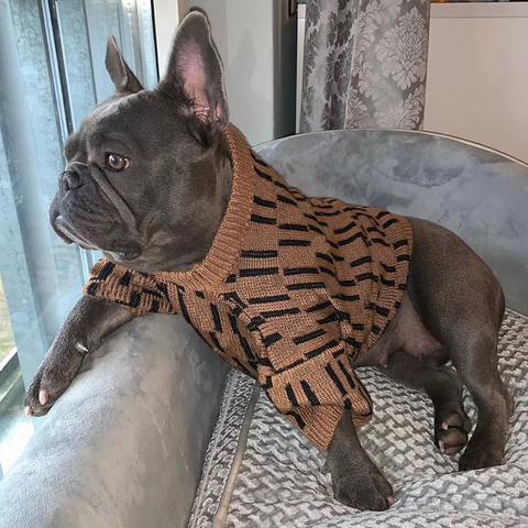 Brand dog clothes best sale