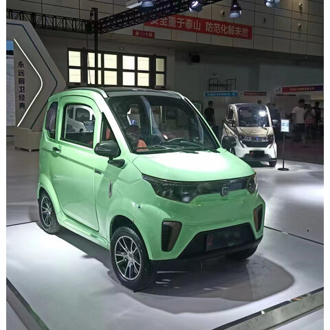 EEC 2 Seater Small Electric Cars for 3 Adults - China Small