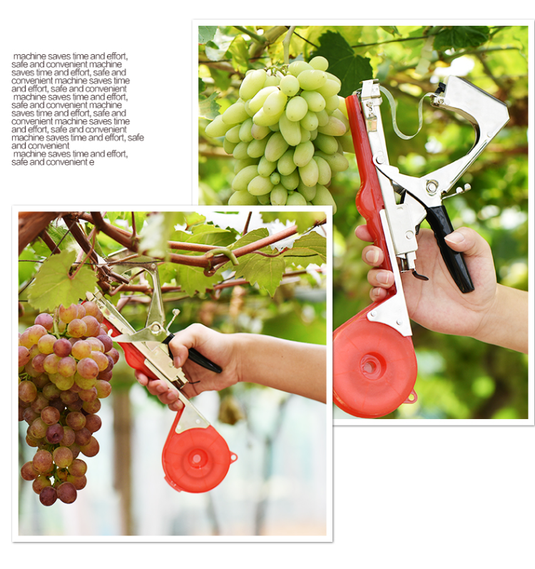 Tree Binding Machine Buy Wholesale China Fruit And Vegetable Trellising Machine Strapping ...