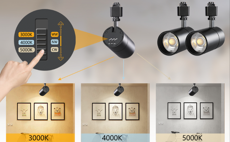 Buy Wholesale China Led Track Lights 48v Magnetic Ball Dimmable Led ...
