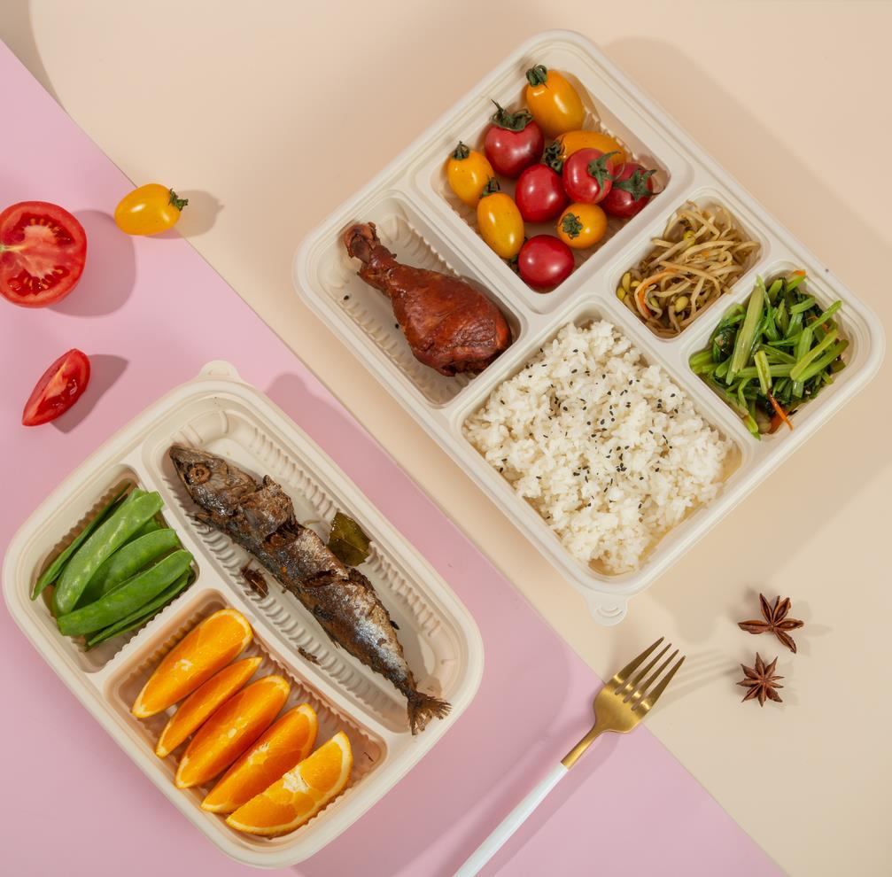 Eco-Friendly Airplane Meal Trays : Zero Eco Meal Tray Concept