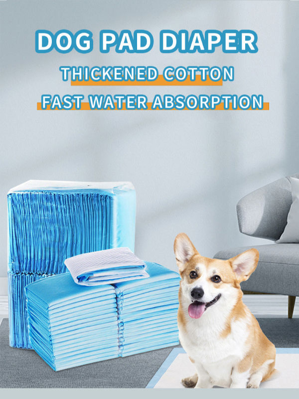 Buy Wholesale China Multi Size 40 Count Disposable Absorbent Leakfree