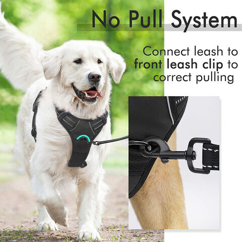  Cat Universal Harness with Leash - Escape Proof - Adjustable  Reflective Step in Dog Harness for Small / Medium Dogs - Soft Mesh Comfort  Fit No Pull No Choke (X-Small