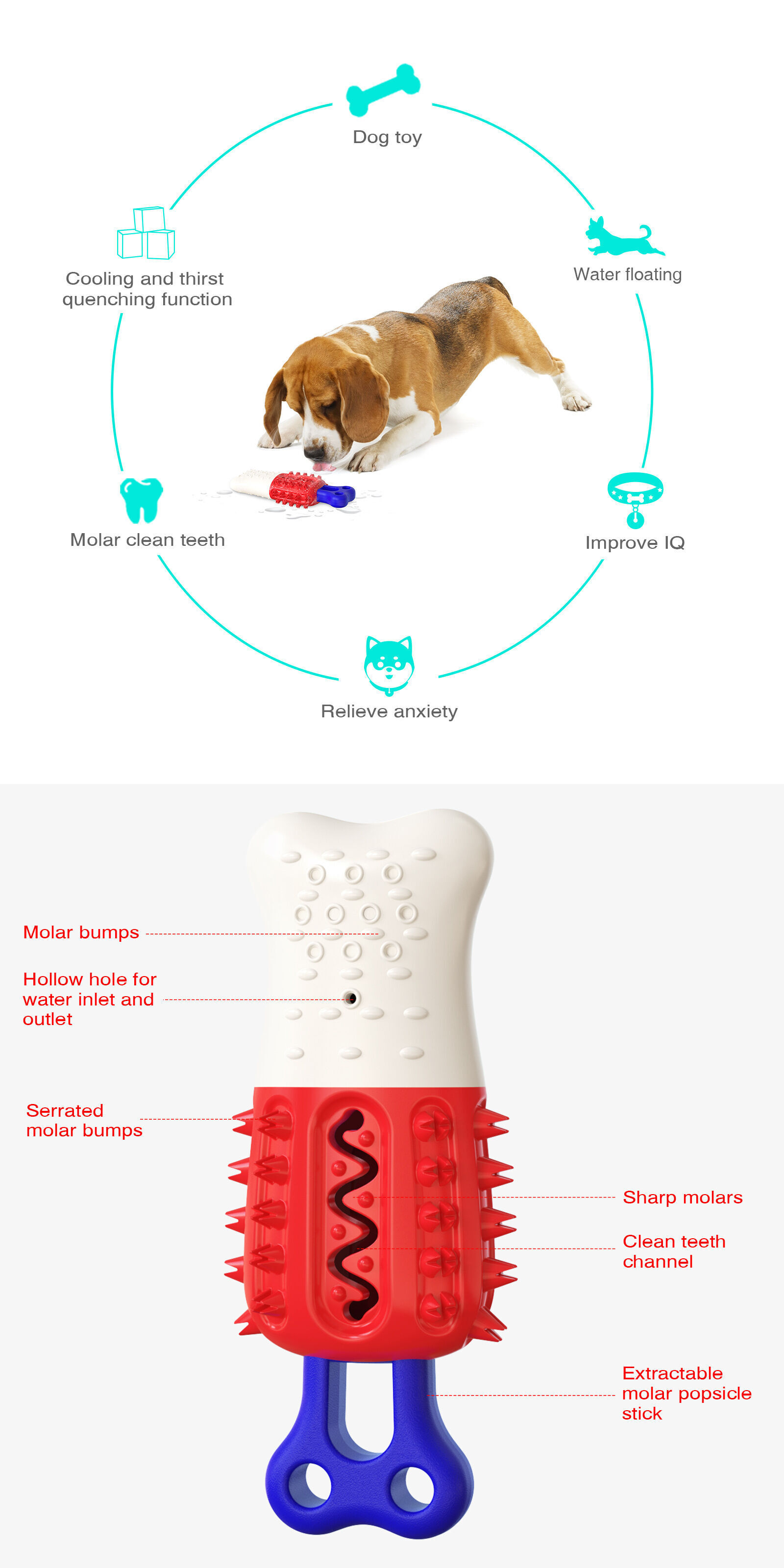 https://p.globalsources.com/IMAGES/PDT/B5915818843/TPR-pet-toy-bite-resistant-Teeth-cleaning.jpg