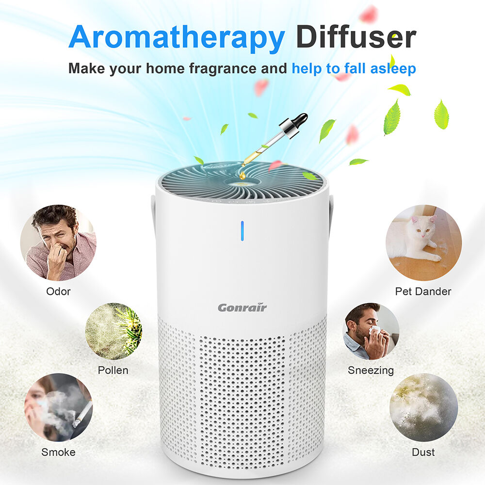 Car Air Humidifier Purifier Aroma Diffuser Essential Oil Aromatherapy  Ioniser