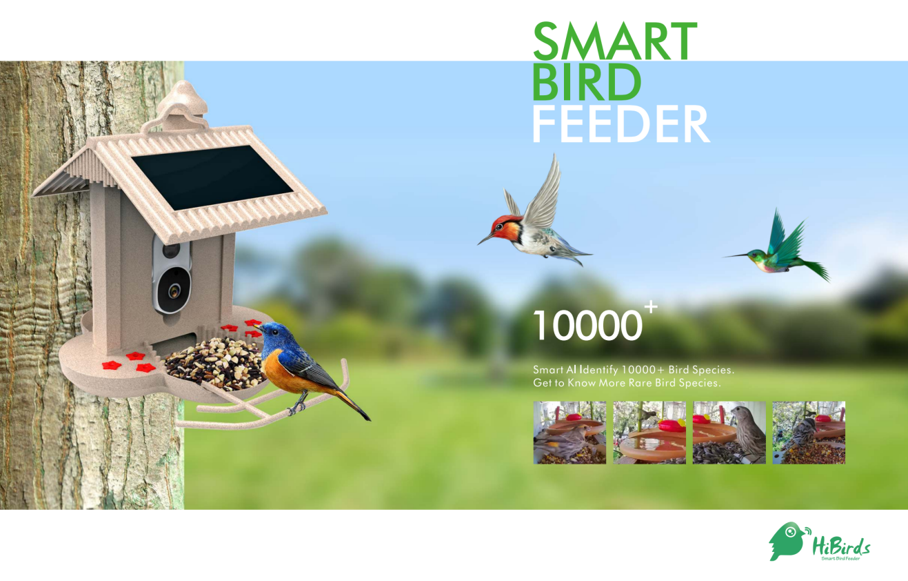 Smart Bird Feeder avec Camera, Argent Solaire Moyen Liban