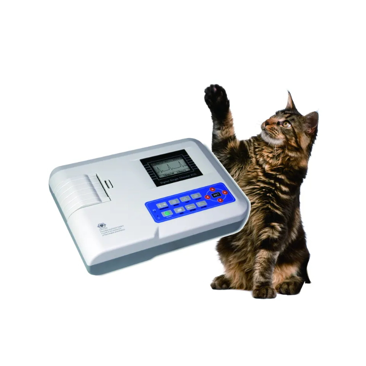 Buy Wholesale China Ecg100g Animal Ecg Machine Ecg Monitor Vet Pet ...