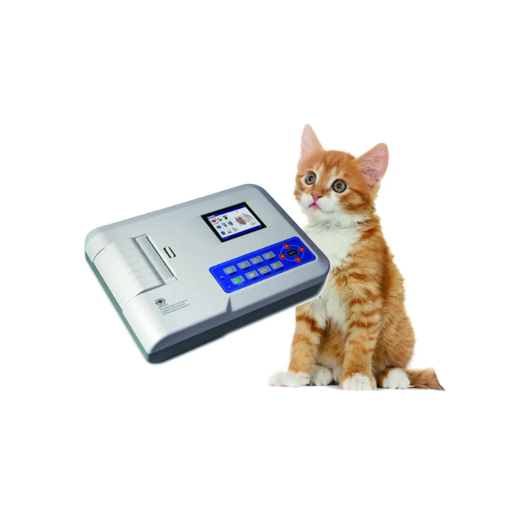 Buy Wholesale China Ecg100g Animal Ecg Machine Ecg Monitor Vet Pet ...