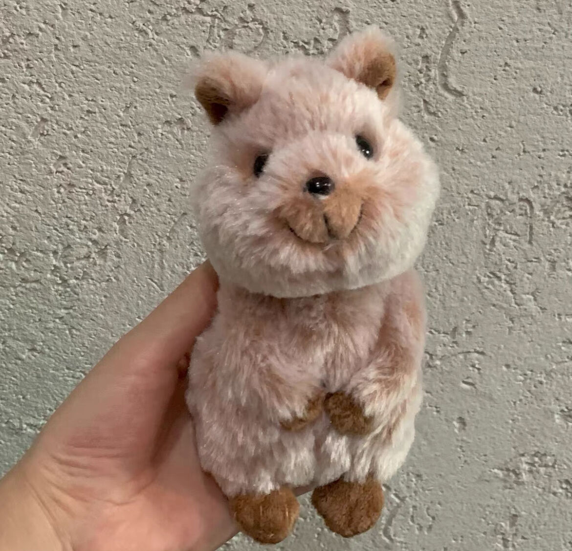 Quokka' Ours en peluche