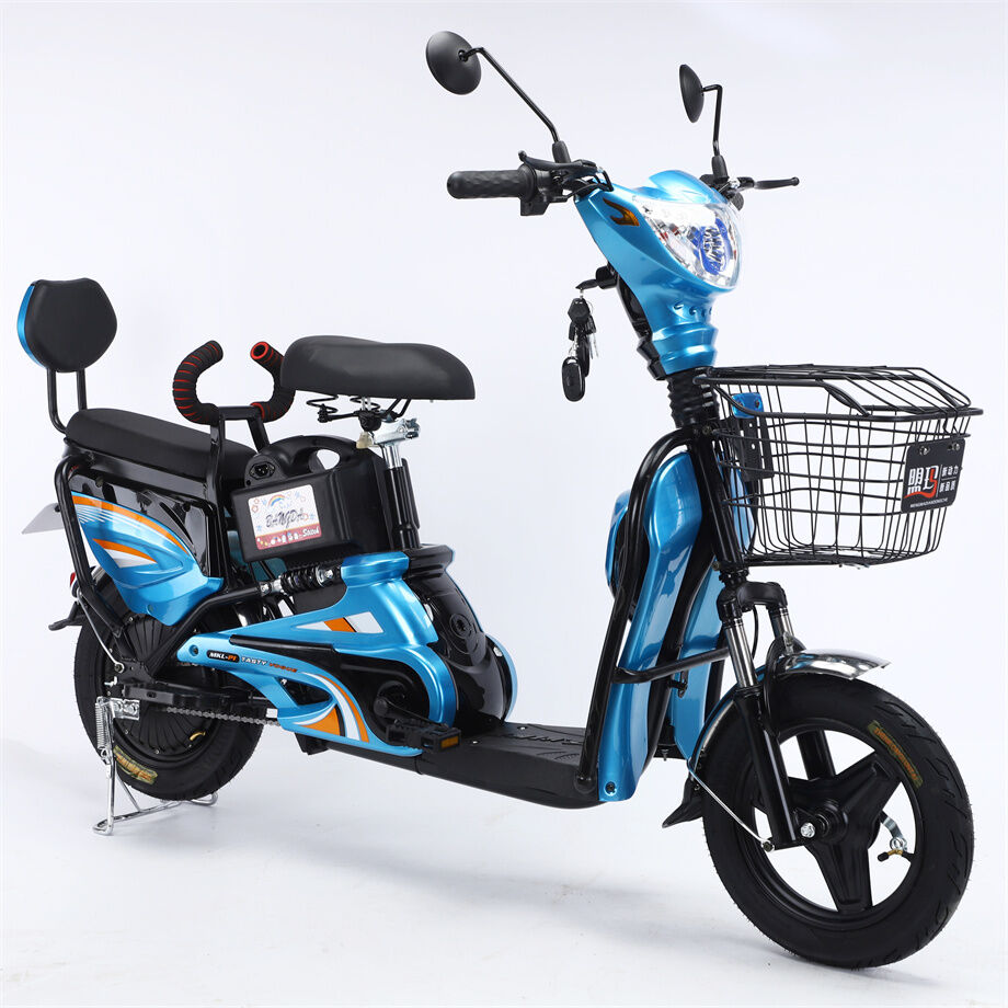 Buy Wholesale China High Quality 14 Inch Adult Electronic City E Bike Bike 48v 350w Electric 0254