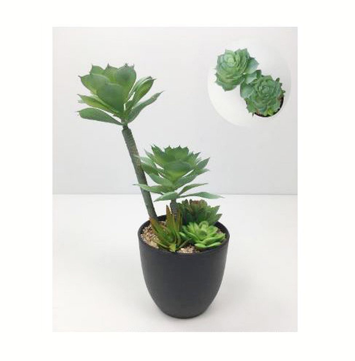 Pots De Plantes En Plastique, 16 Cm De Diamètre, Multicolores